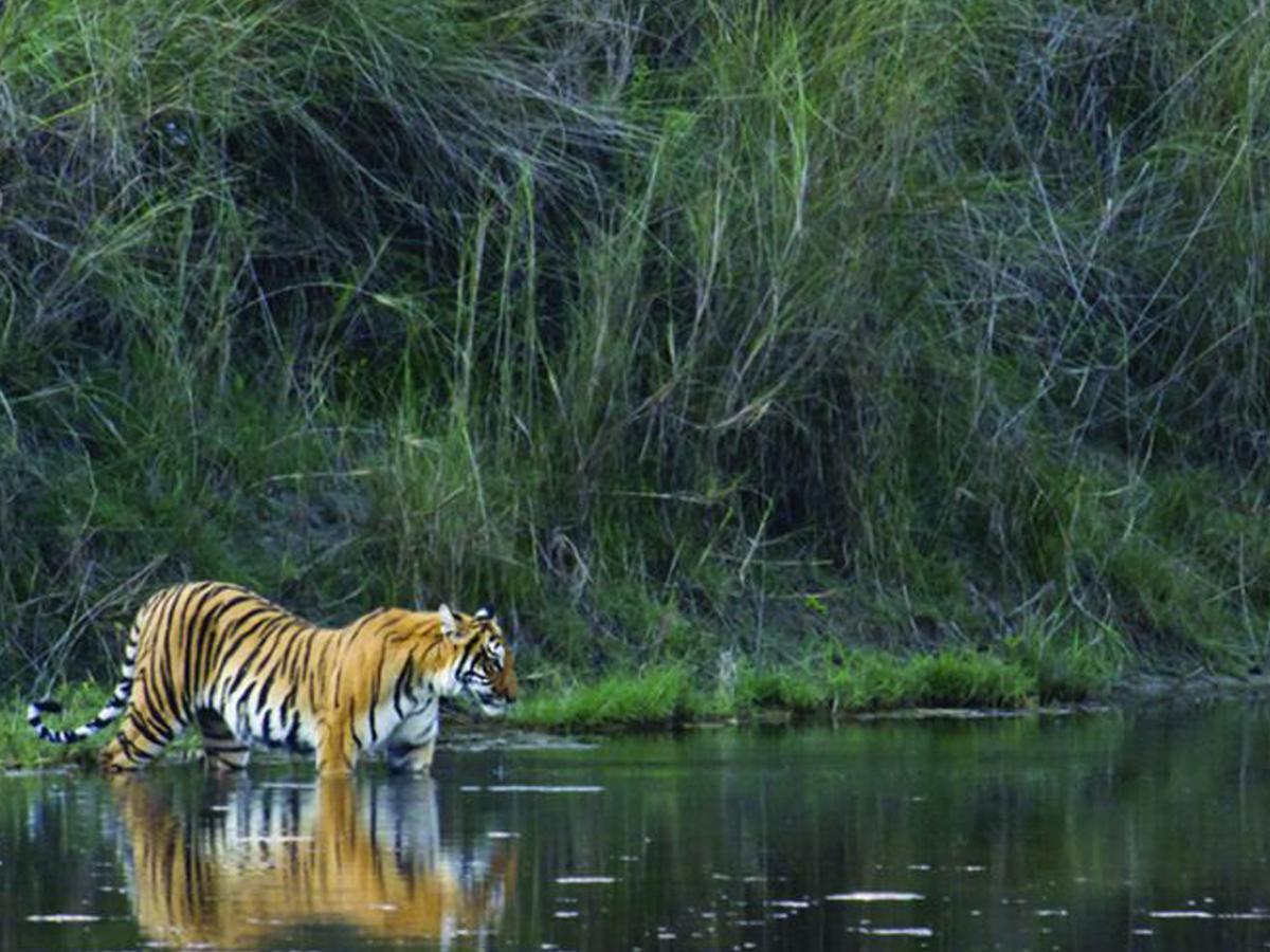 Corbett Treat Resort رامناجار المظهر الخارجي الصورة