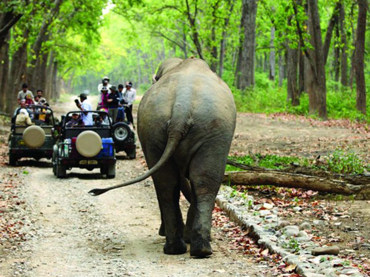 Corbett Treat Resort رامناجار المظهر الخارجي الصورة